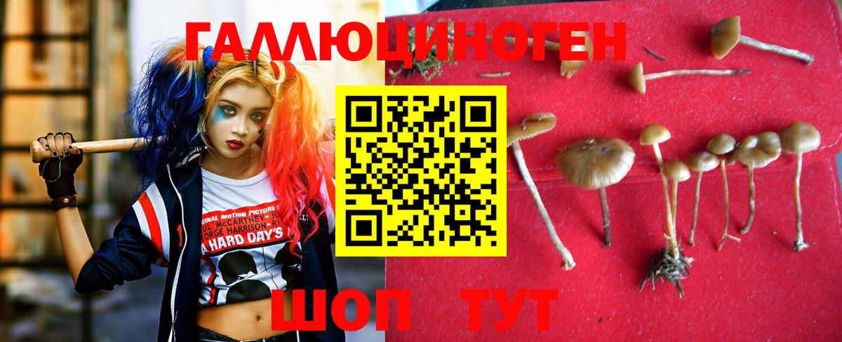 Псилоцибиновые грибы ЛСД Лысьва